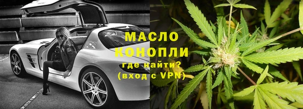 дмт Тавда