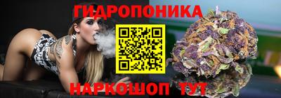 spice Камышлов