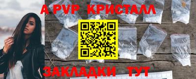 spice Камышлов