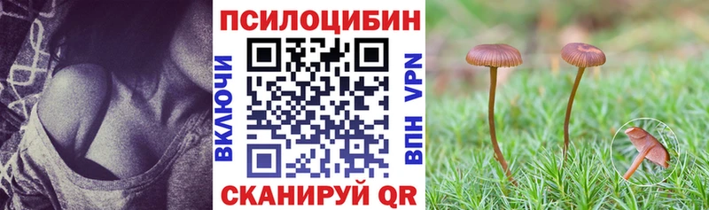 kraken рабочий сайт  Назарово  Галлюциногенные грибы Psilocybe 