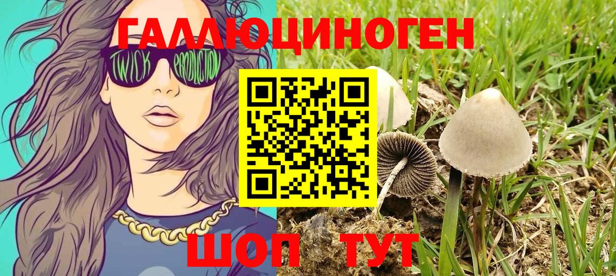 Псилоцибиновые грибы мицелий Назарово