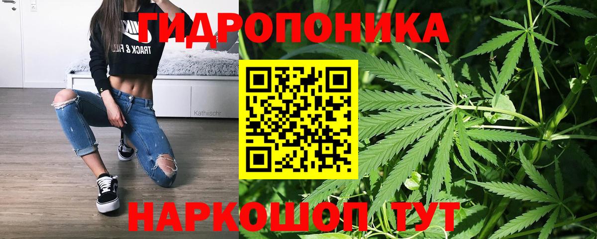 Бошки Шишки план  Конопля LSD WEED  Назарово  Канабис индика  Вход с VPN  Шишки марихуана ГИДРОПОН 